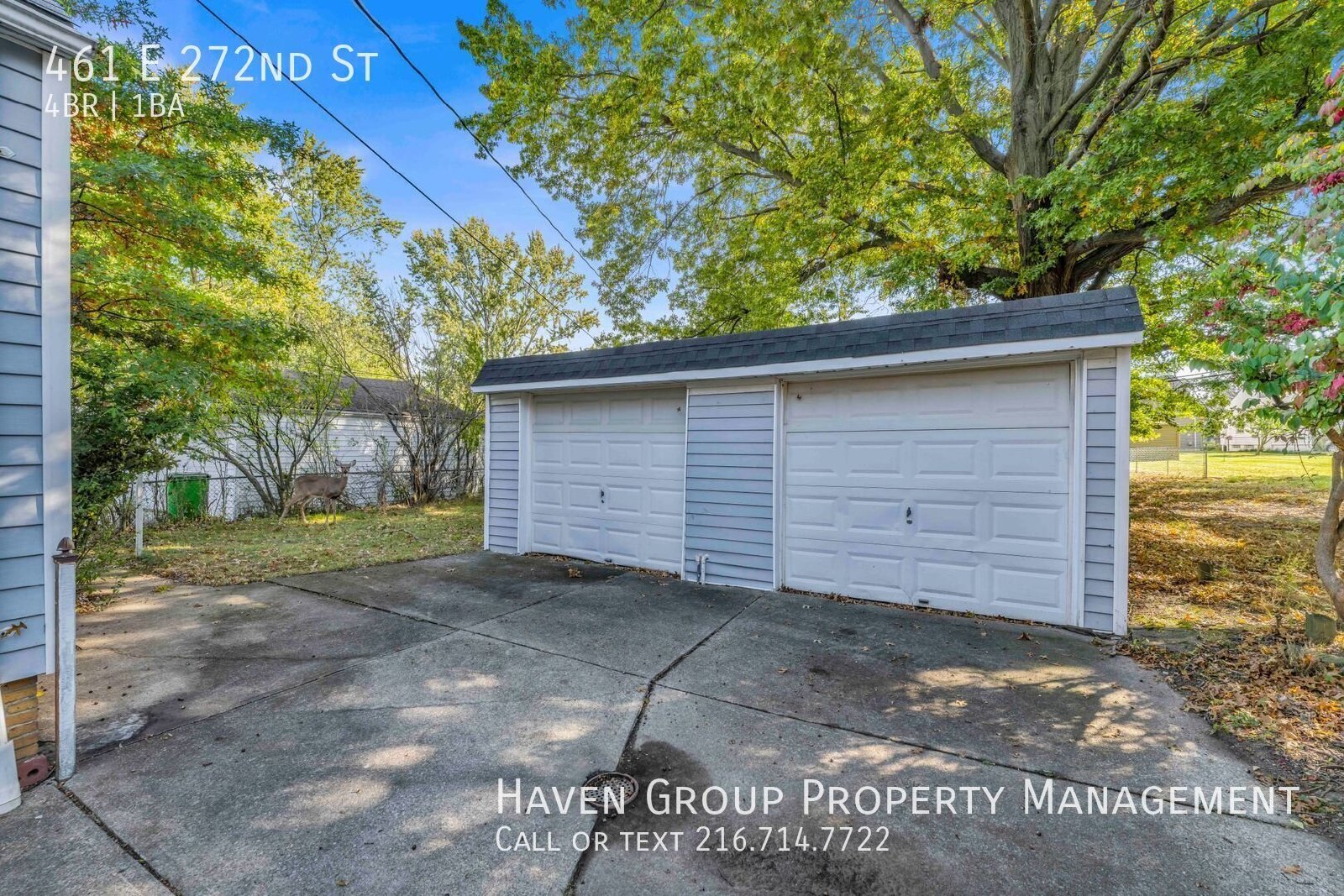 461 E 272nd St, Euclid, OH 44132 - Spacious 4-bed 1-bath single-family home!  property image